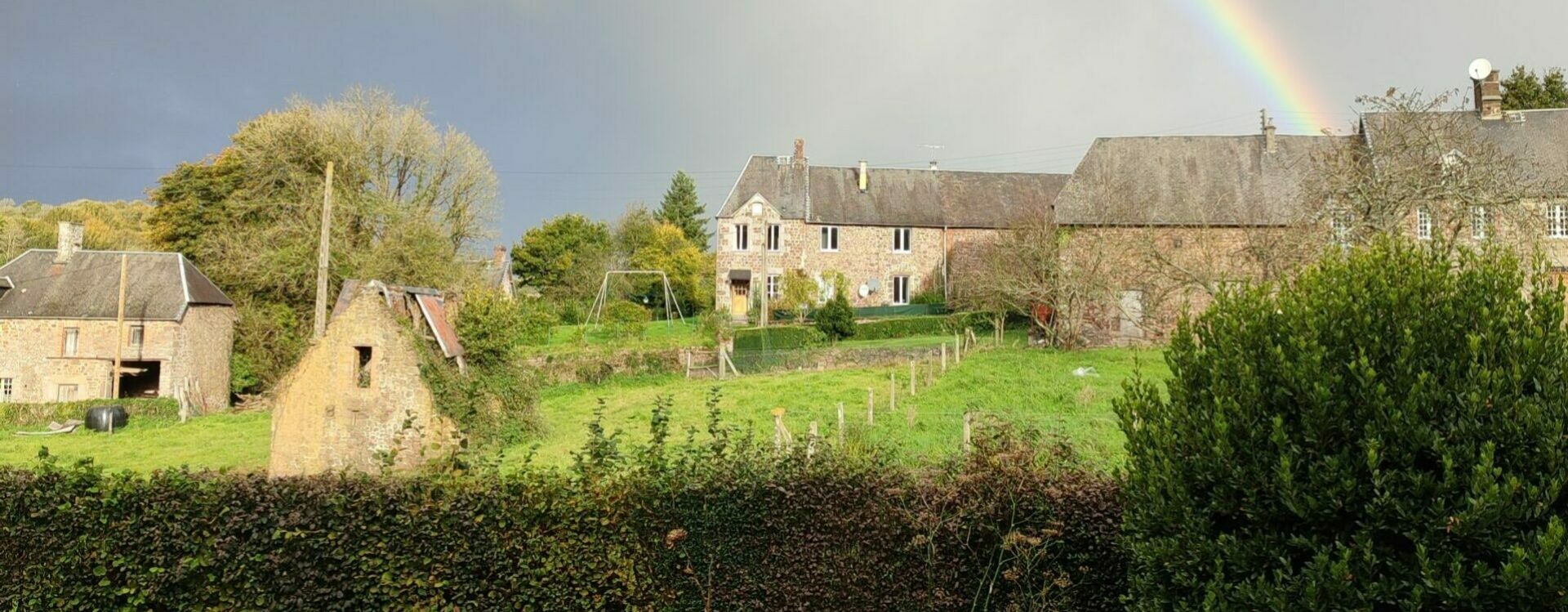La Baleine commune de la Manche